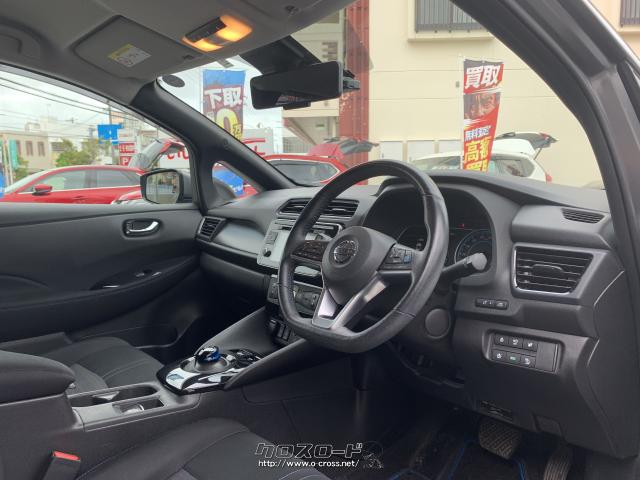 アクセルペダルの操作だけで発進、加速、減速、停止までをコントロールすることが可能 日産 リーフ