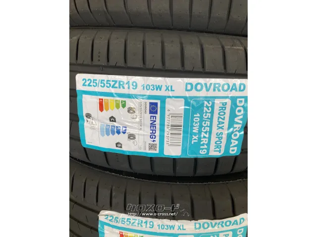 タイヤ 19インチ DOVROAD プロザックススポーツ 225/55R19 10