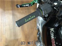 カワサキ バリオス