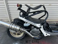 ホンダ ズーマー