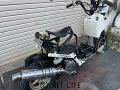 ホンダ ズーマー