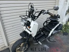 ホンダ ズーマー