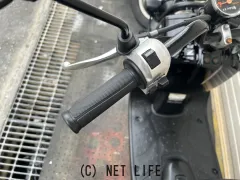 ホンダ ズーマー