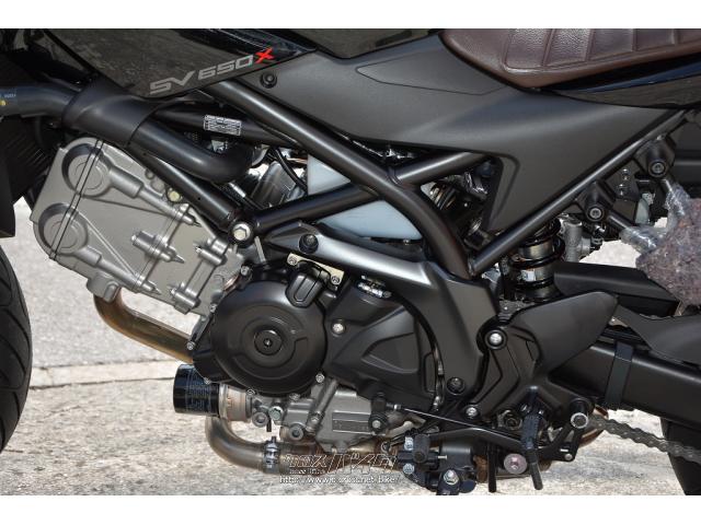 スズキ SV650X ABS 2020年最新モデル・ブラック・640cc・ユナイト