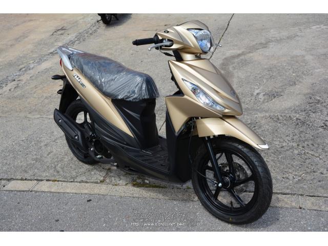 スズキ アドレス110 スペシャルエディション コンバインドブレーキ