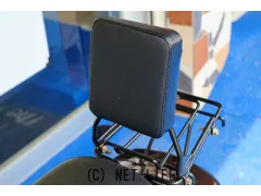 スズキ アドレスV100