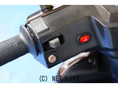 スズキ アドレスV100