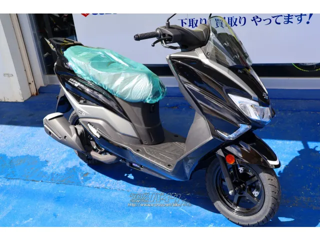 スズキ バーグマン125 ストリートEX 2025NEWカラー・2025(R7 スズキ バーグマン125 ストリートEX 2025NEWカラー・2025(R7