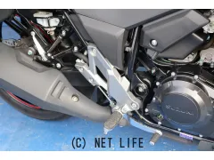 スズキ V-STROM250