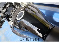 スズキ V-STROM250