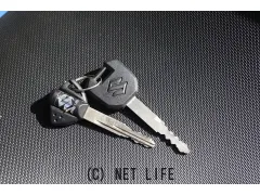 スズキ V-STROM250