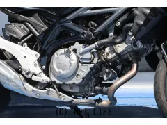 スズキ グラディウス