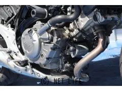 スズキ グラディウス