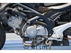 スズキ グラディウス