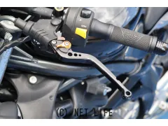 スズキ グラディウス