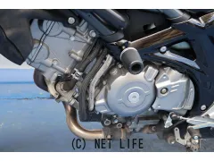 スズキ グラディウス