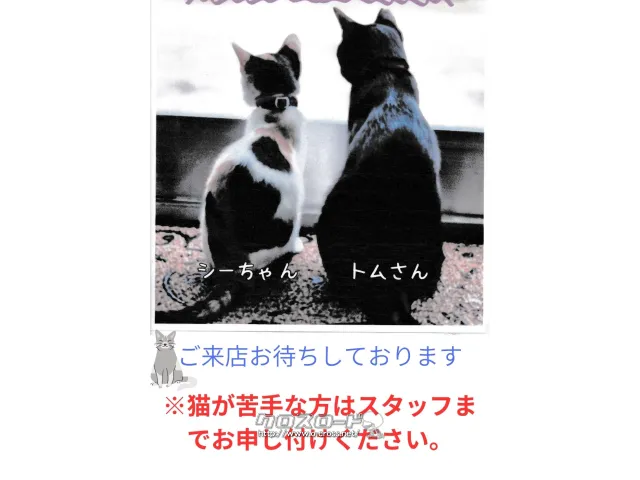 スズキ アルト