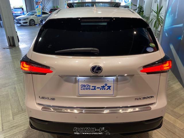 Premium Urban Sports Gear」をコンセプトに、都会を機敏に駆け抜ける高い走行性能と、SUVらしい力強さを兼ね備える レクサス NX