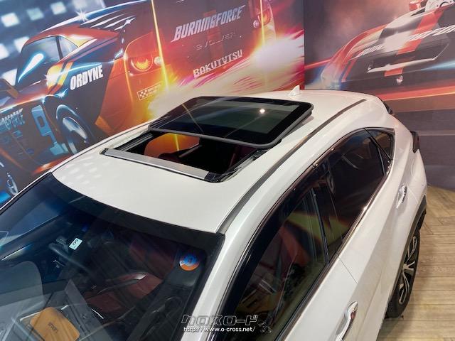 サンルーフ付きで晴れの日は快適なドライブが楽しめます レクサス NX