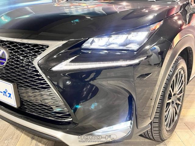 オートLEDヘッドライト レクサス NX