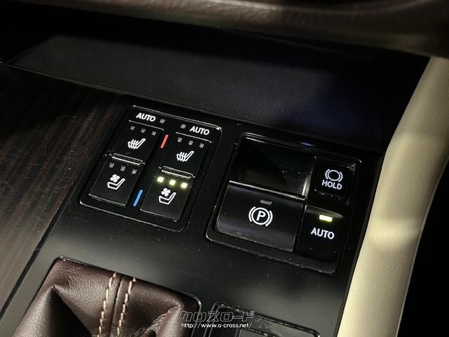レクサス RX RX450h バージョンL レクサスメーカーナビ リア