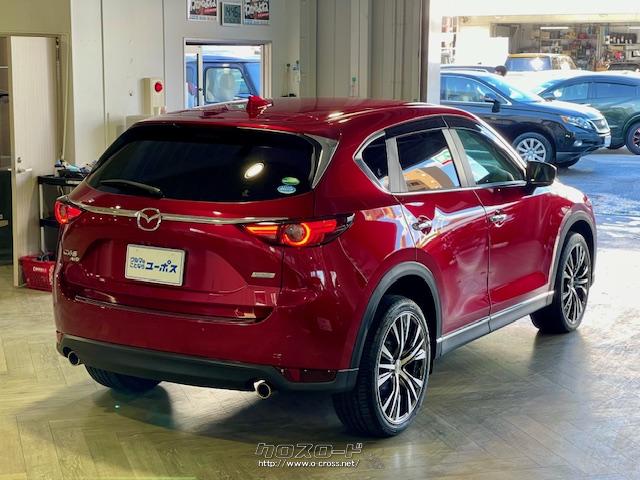 強い前進感とスタンスを強調する骨格、シンプルな造形の中に美しい映り込みを造り込んだフォルム、彫りの深いディテールデザインにより、つやめきある精悍を実現。 マツダ CX-5