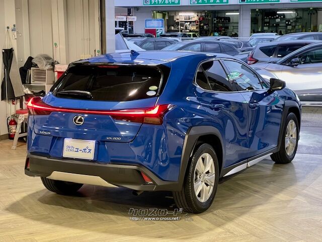 セーフティシステムプラス クリアランスソナー レクサス UX