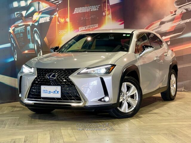 縦方向に厚みをもたせたボディにより、安心感のあるタフな力強さを強調。 レクサス UX