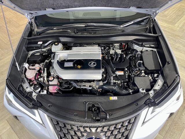 「お問合せはユーポス新都心店まで/098-860-8880お待ちしております」 レクサス UX