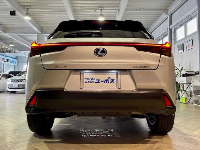 「お問合せはユーポス新都心店まで/098-860-8880お待ちしております」 レクサス UX