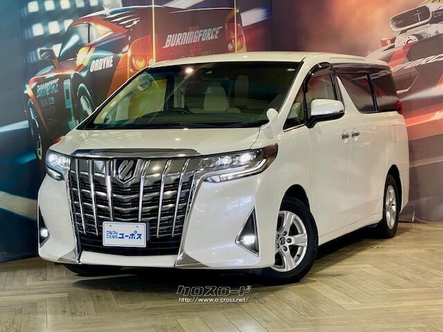 従来にはない新しい高級車の概念を創造することを目指し、「大空間高級サルーン」 トヨタ アルファード