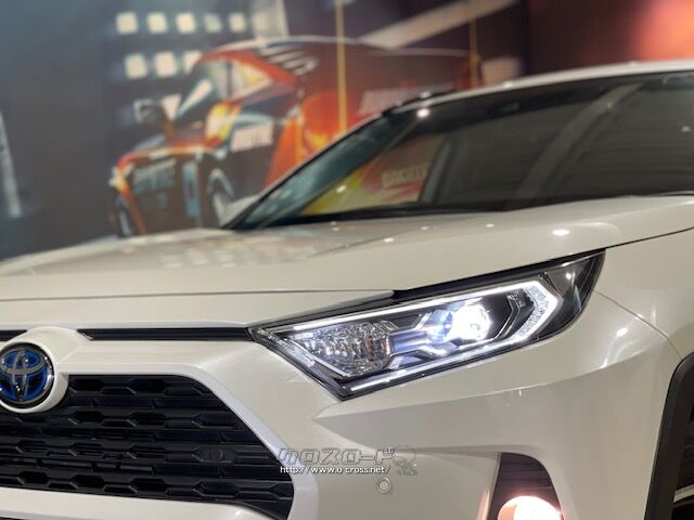 LEDヘッドライト トヨタ RAV4