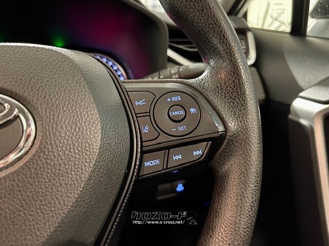 高速道路で大活躍クルーズコントロール トヨタ RAV4