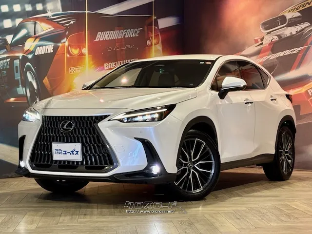 「Premium Urban Sports Gear」をコンセプト レクサス NX