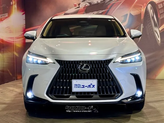 都会を機敏に駆け抜ける高い走行性能と、SUVらしい力強さを兼ね備える レクサス NX