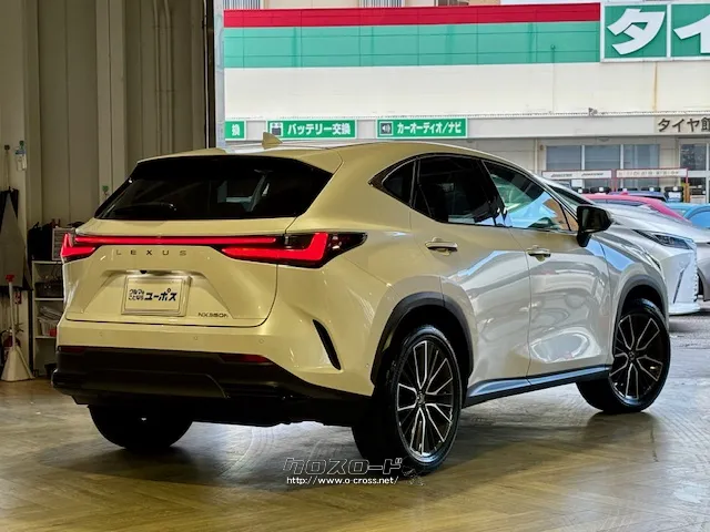 気になる月々のローンシュミレーションやローン審査、すぐに相談可能です。 レクサス NX