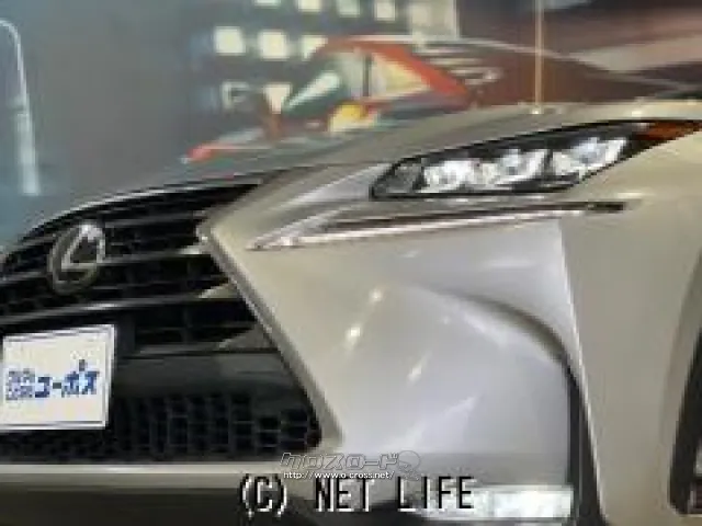 三眼フルLEDヘッドランプ レクサス NX