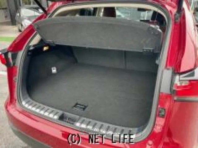 荷室も広々お出かけに大活躍!! レクサス NX