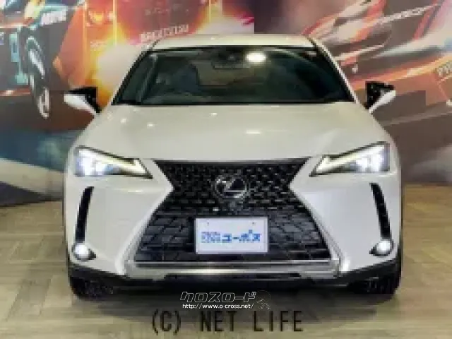 現在ユーポス新都心店にて展示中 レクサス UX