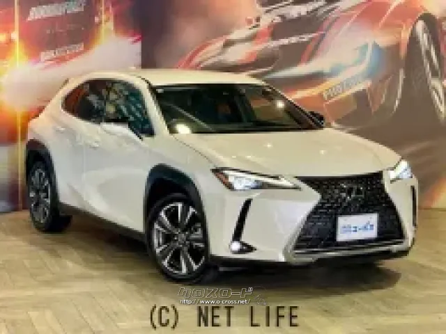 「GA‐C」プラットフォームの採用による低重心化 レクサス UX