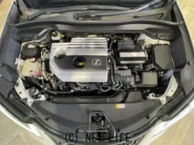 「お問合せはユーポス新都心店まで/098-860-8880お待ちしております」 レクサス UX