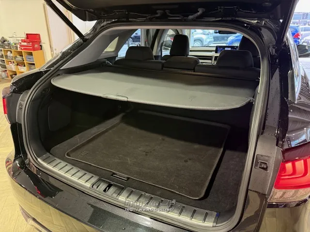 トノカバー付き レクサス RX