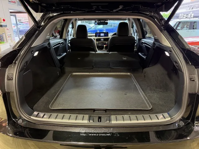 シートを倒せば急な大荷物にも対応 レクサス RX