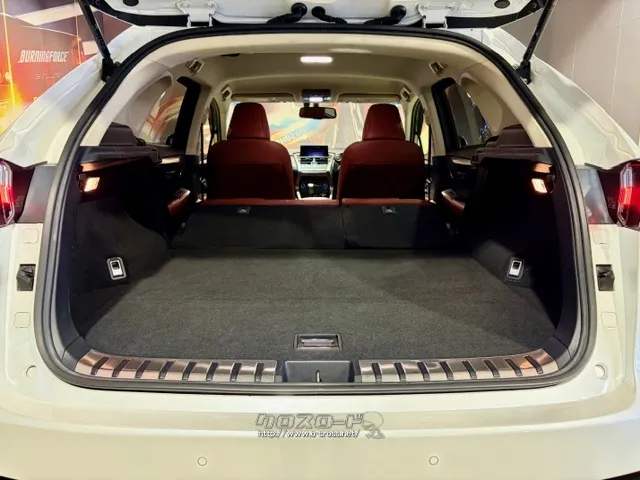 シートを倒せば急な大荷物にも対応 レクサス NX