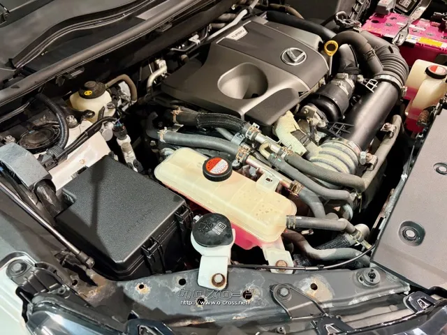 「お問合せはユーポス新都心店まで/098-860-8880お待ちしております」 レクサス NX