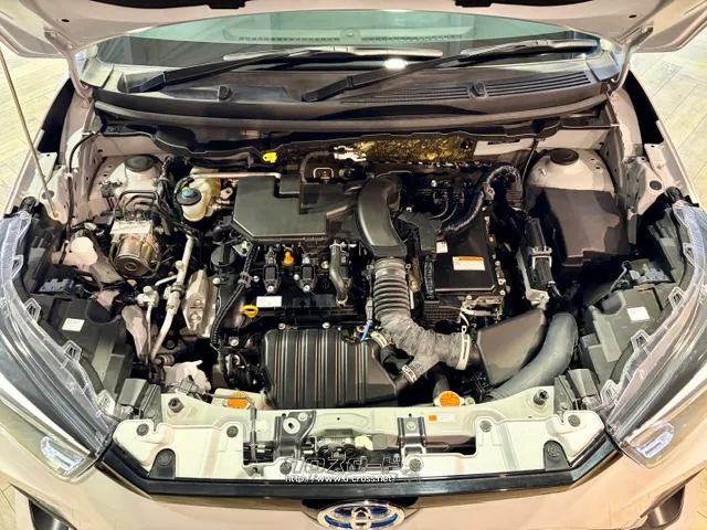 「お問合せはユーポス新都心店まで/098-860-8880お待ちしております」 トヨタ ライズ