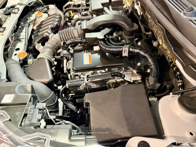 「お問合せはユーポス新都心店まで/098-860-8880お待ちしております」 トヨタ ライズ