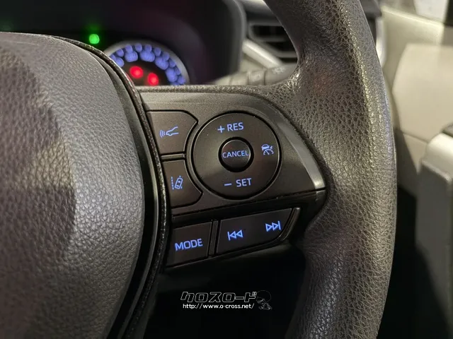 追従機能付きクルーズコントロール トヨタ RAV4