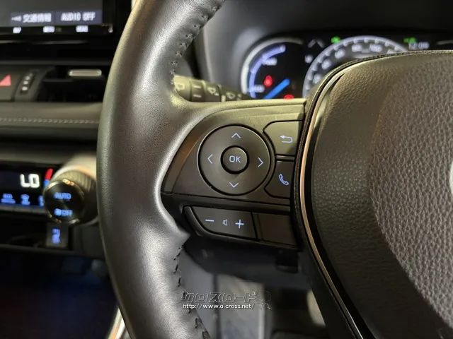 ハンドルを握ったままオーディオ操作が可能です。 トヨタ RAV4