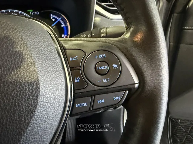 追従機能付きクルーズコントロール トヨタ RAV4